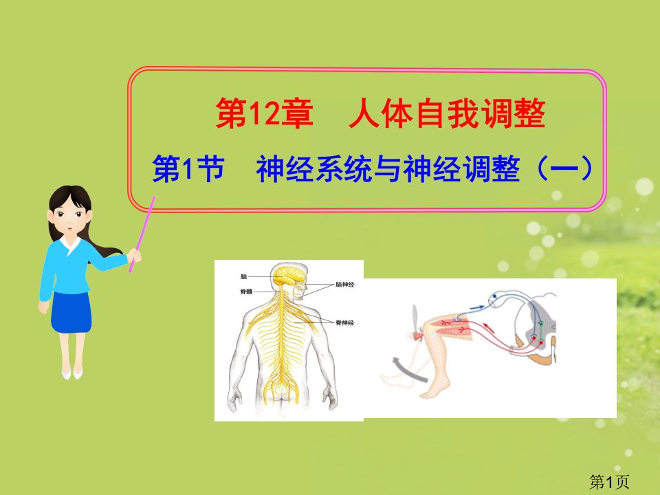 生物：-第12章-第1节-神经系统与神经调节一-北师大版七年级下省名师优质课获奖课件市赛课一等奖课件