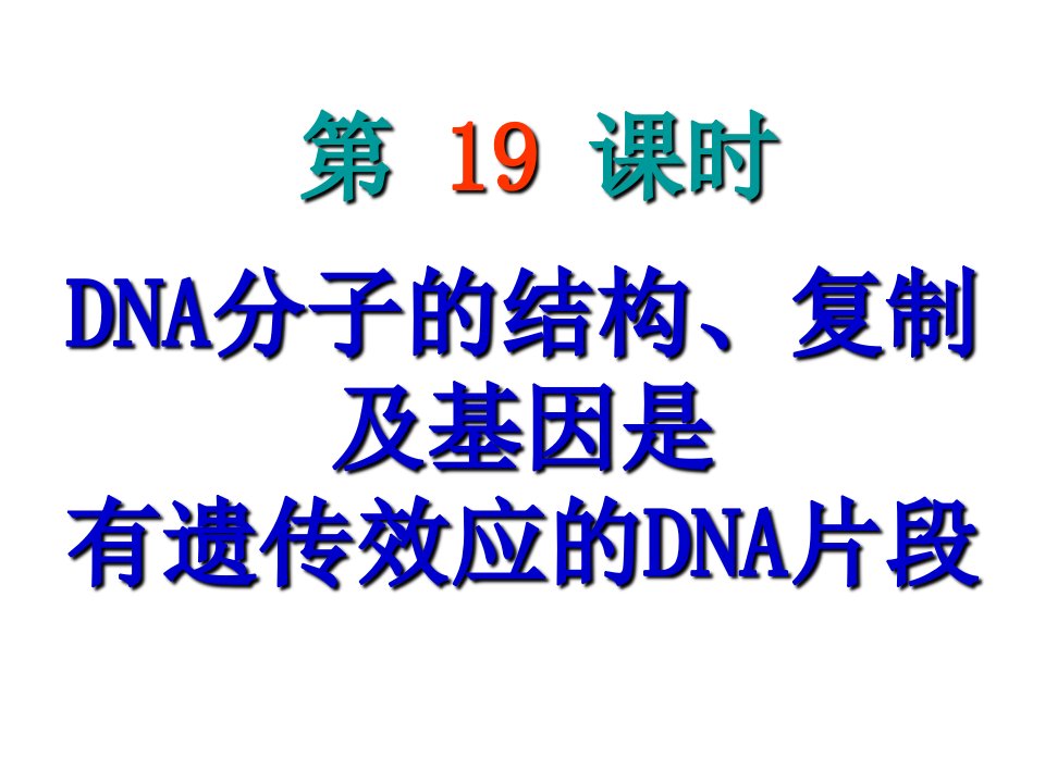 广东省新兴县惠能中学高三生物复习《DNA分子的结构》课件