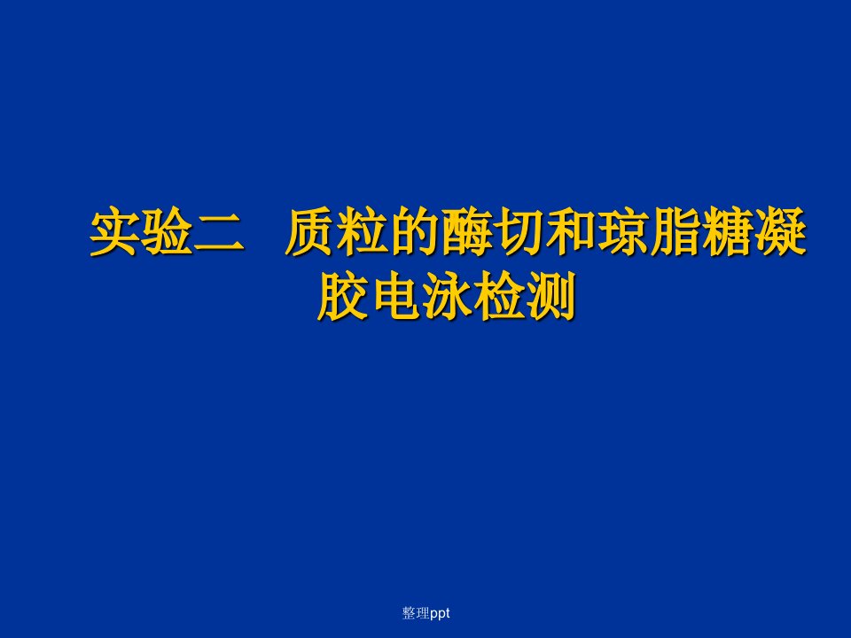 质粒的酶切和琼脂糖凝胶电泳检测