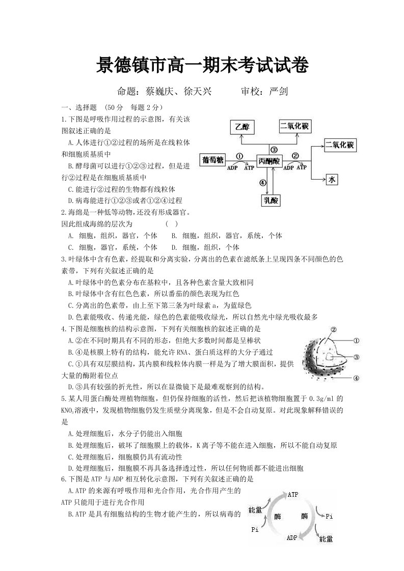 景德镇市高一期末考试试卷