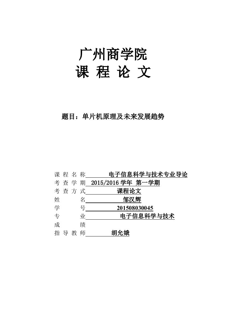 电子信息科学与技术导论论文