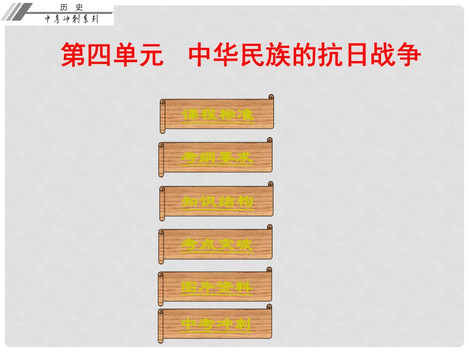 中考历史总复习