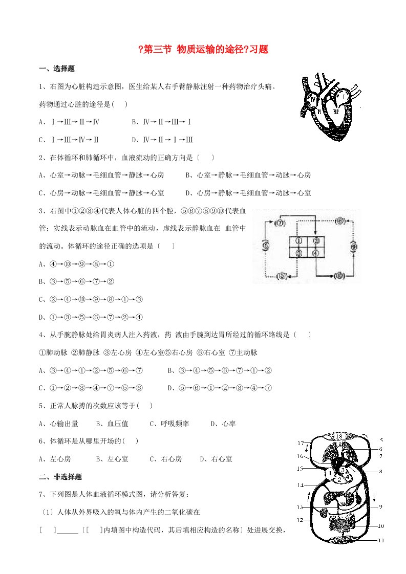 七年级生物下册