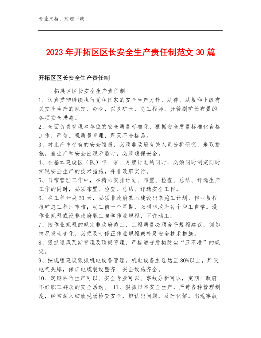 2023年开拓区区长安全生产责任制范文30篇