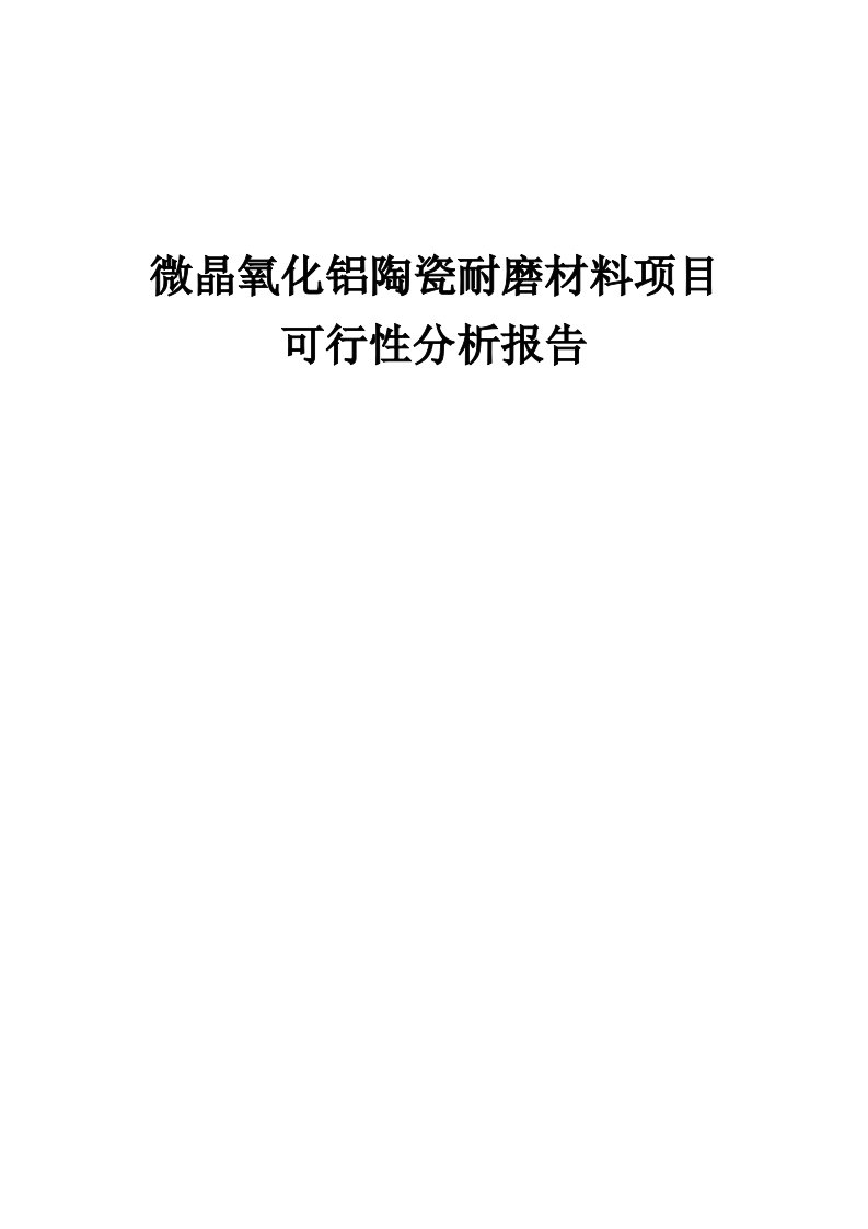 微晶氧化铝陶瓷耐磨材料项目可行性分析报告