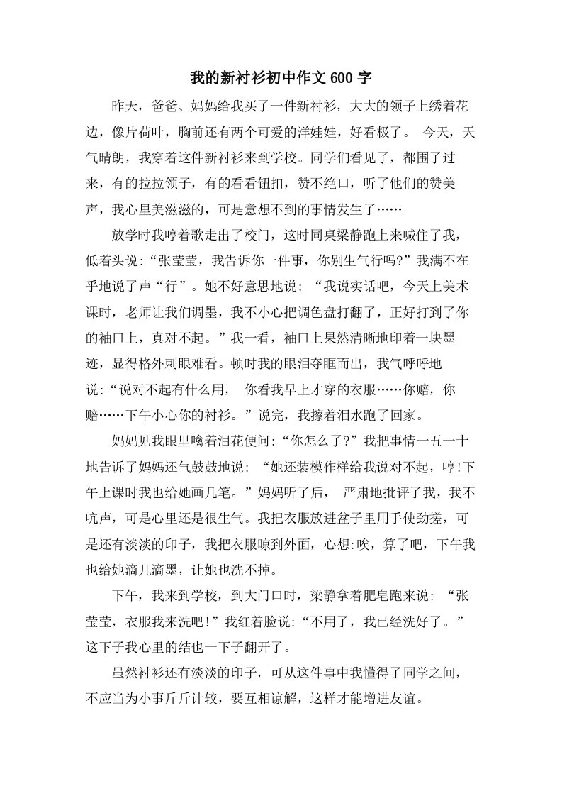 我的新衬衫初中作文600字