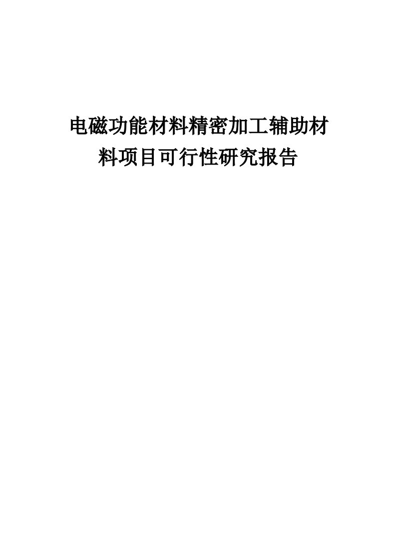 2024年电磁功能材料精密加工辅助材料项目可行性研究报告