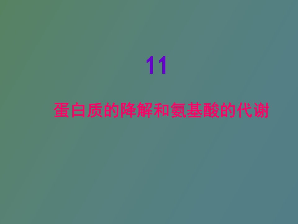 蛋白质的降解和氨基酸的代谢