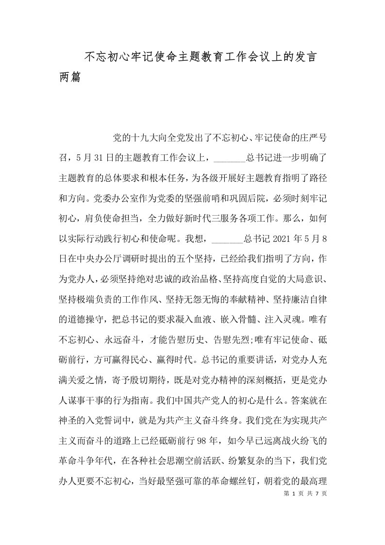 不忘初心牢记使命主题教育工作会议上的发言两篇