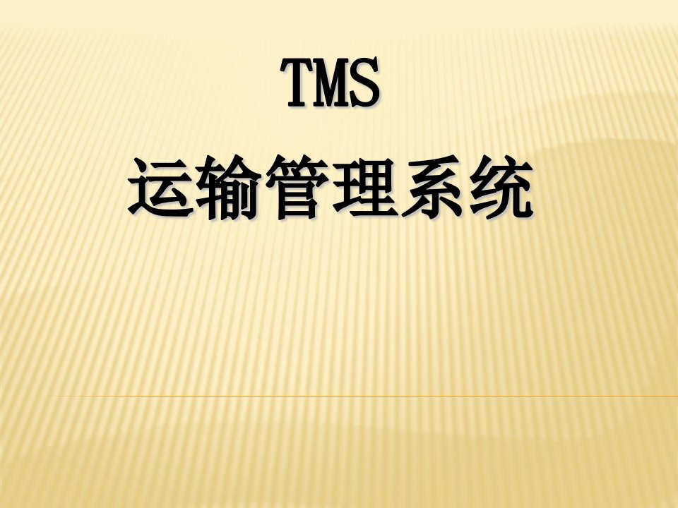 TMS运输管理系统