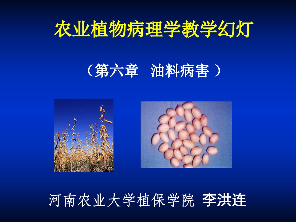 油料病害-农业植物病理学教学幻灯