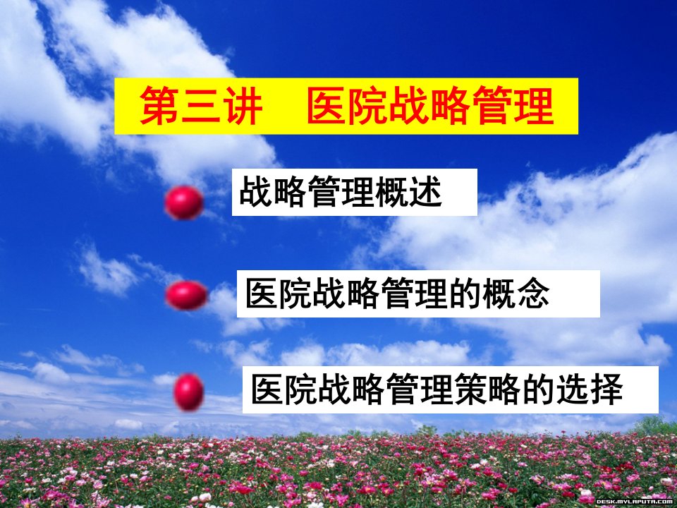 第三讲医院战略管理PPT课件