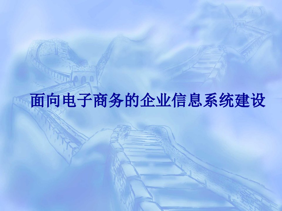 面向电子商务的企业信息系统建设