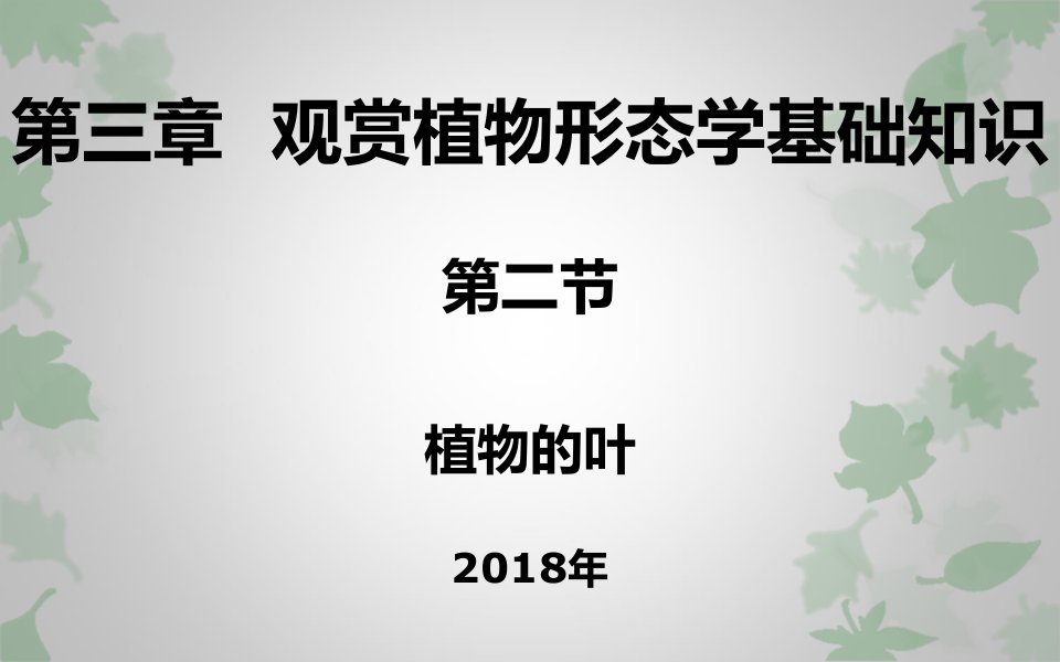 观赏植物学植物学形态学基础知识第二节植物叶