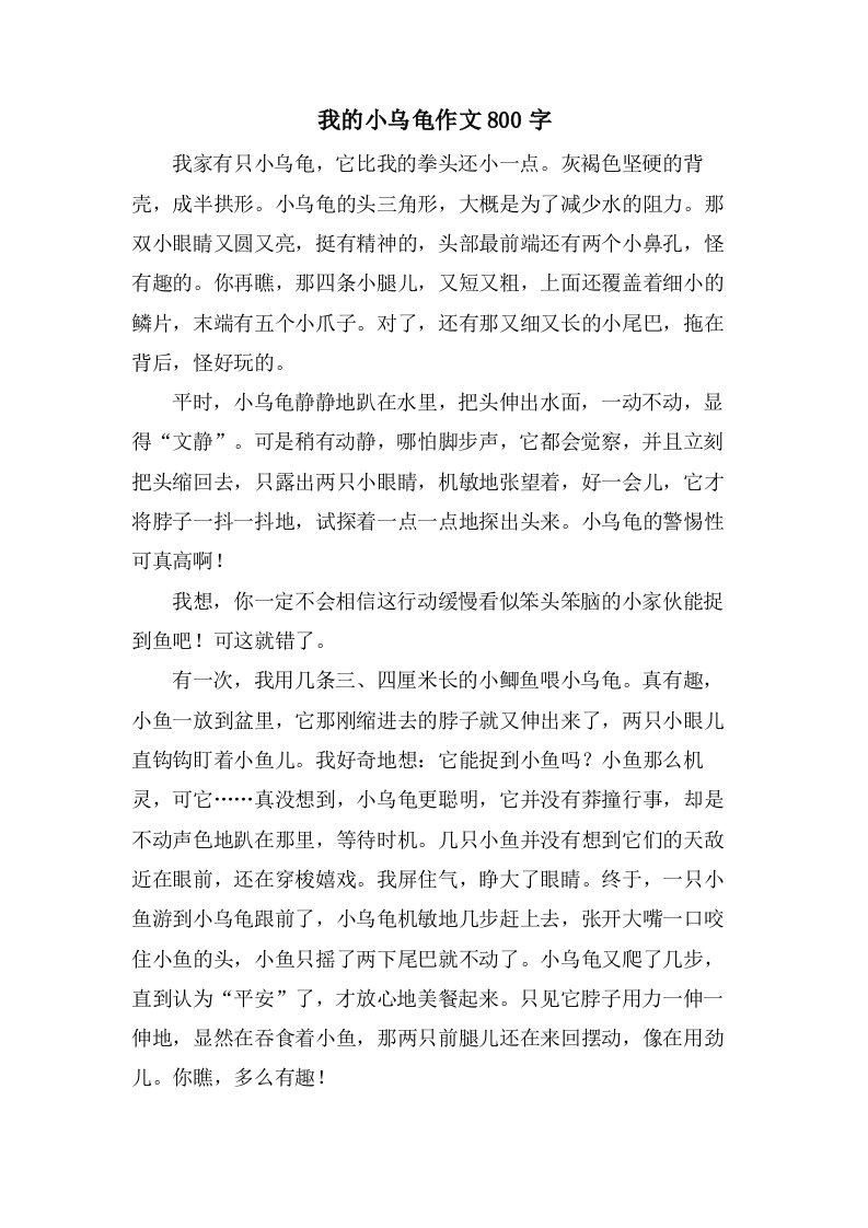 我的小乌龟作文800字