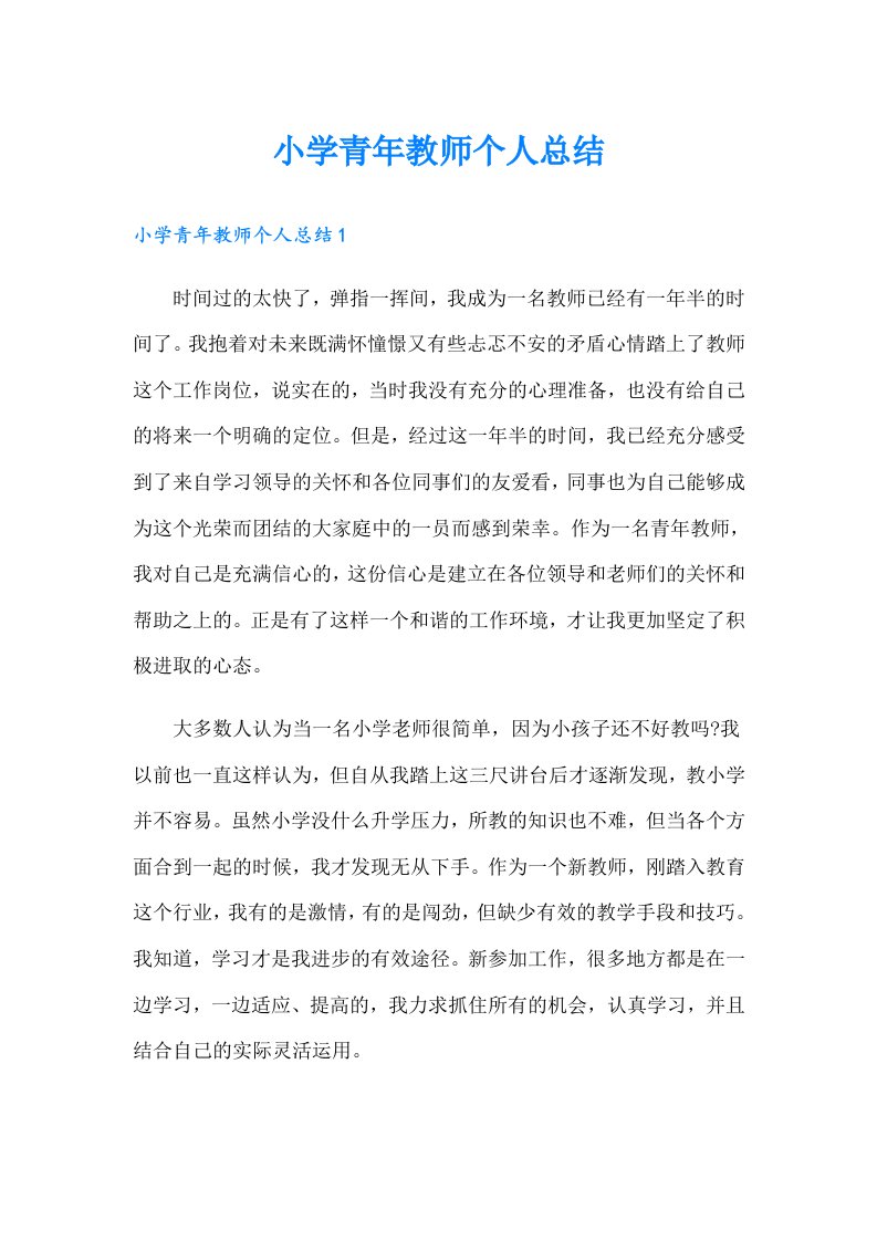 小学青年教师个人总结