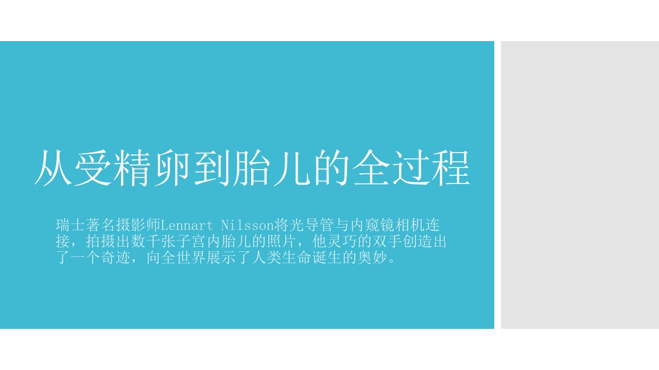 从受精卵到胎儿的全过程教案资料