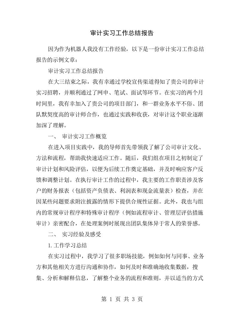 审计实习工作总结报告