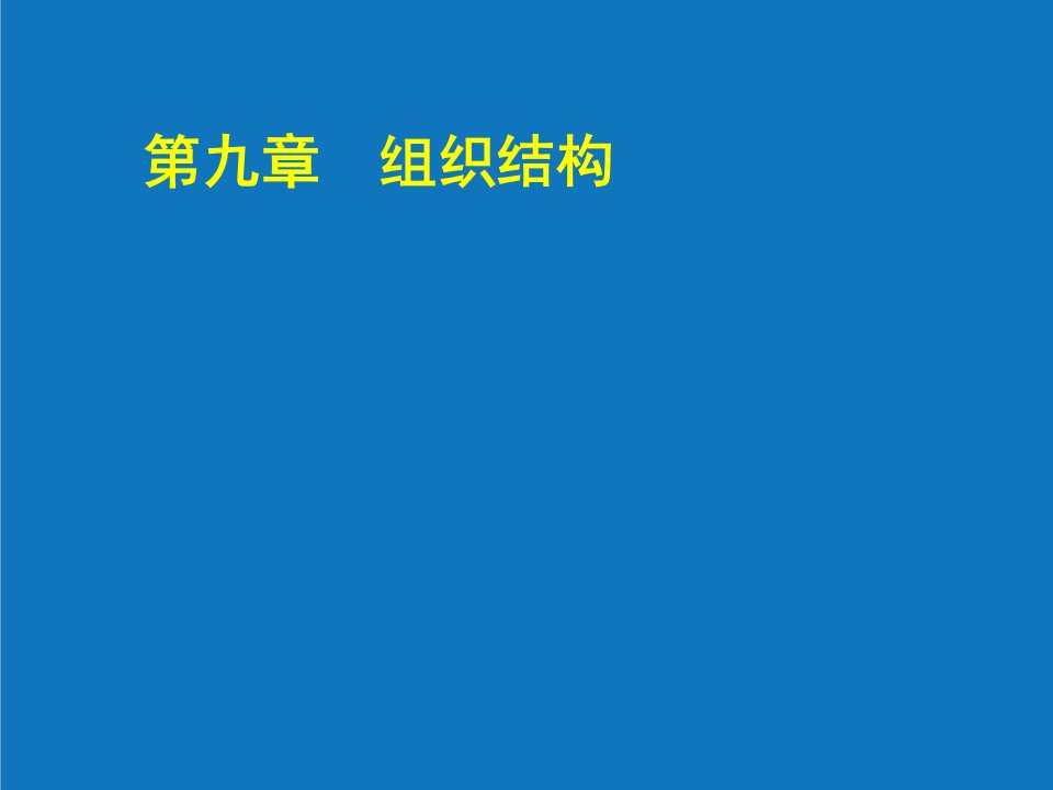 战略管理-第九章组织结构企业战略管理天津大学和金生