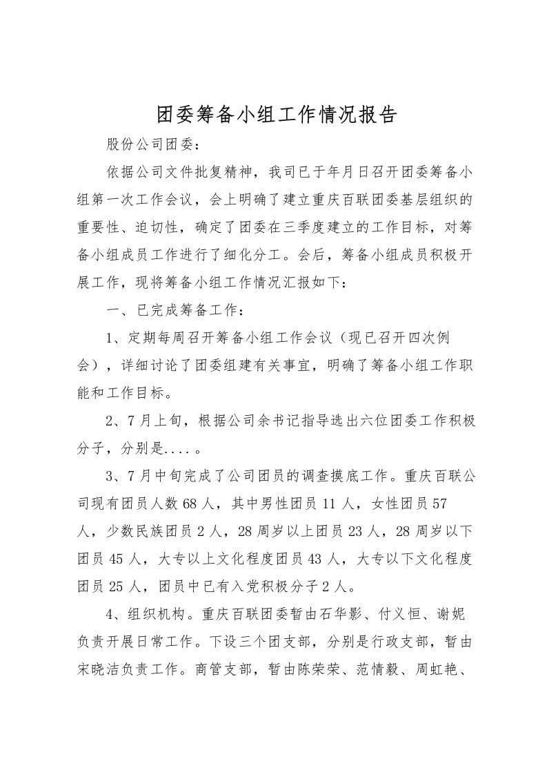 2022团委筹备小组工作情况报告