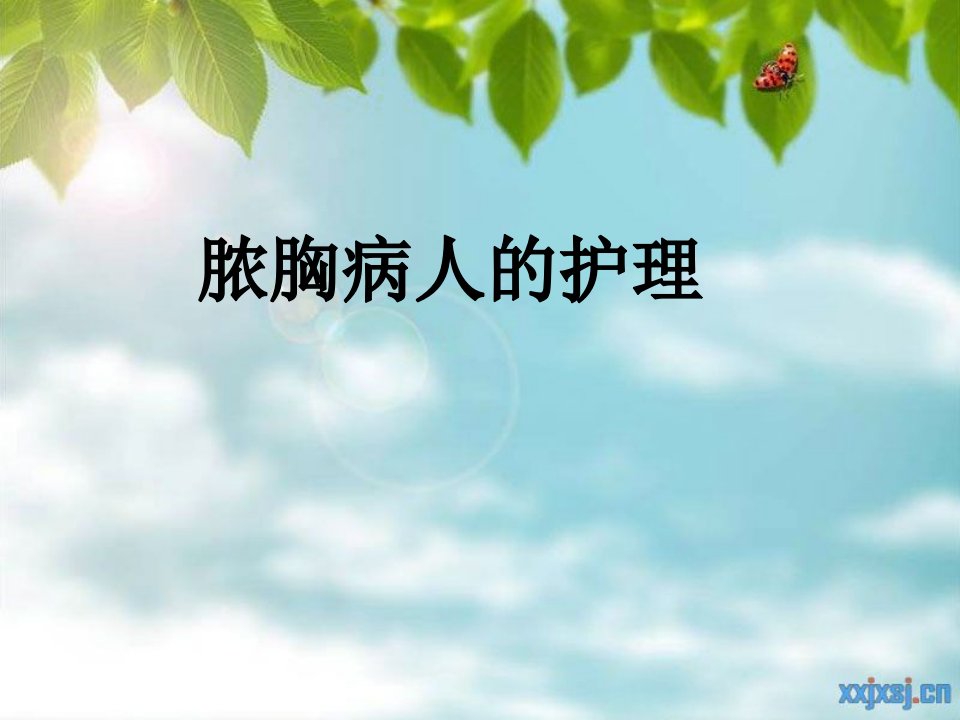 脓胸病人的护理.ppt