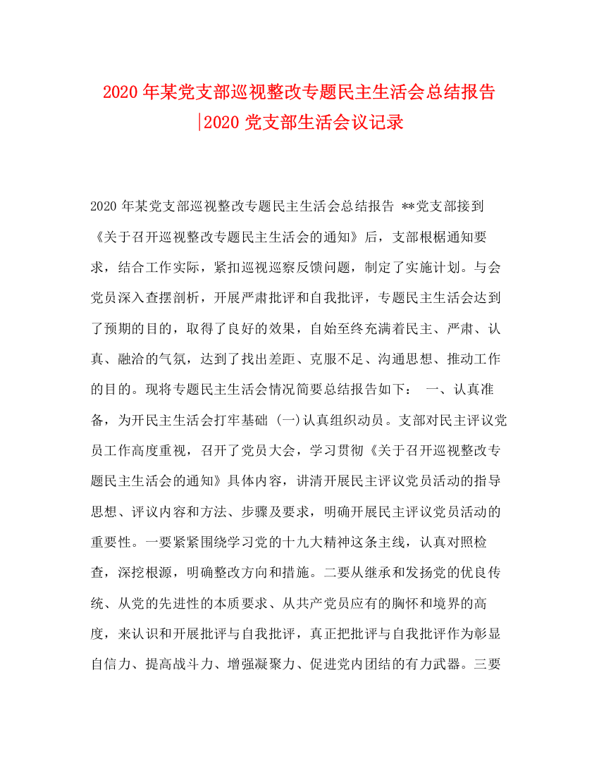 精编之年某党支部巡视整改专题民主生活会总结报告党支部生活会议记录