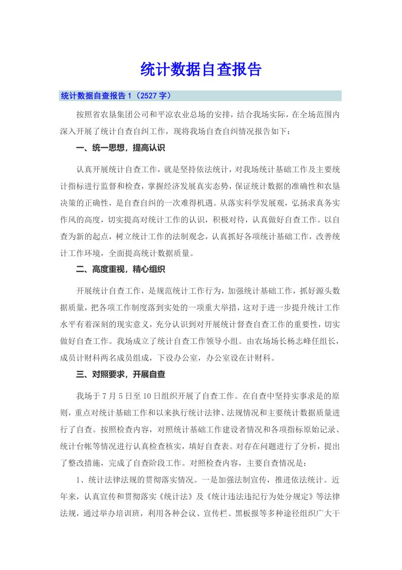 统计数据自查报告