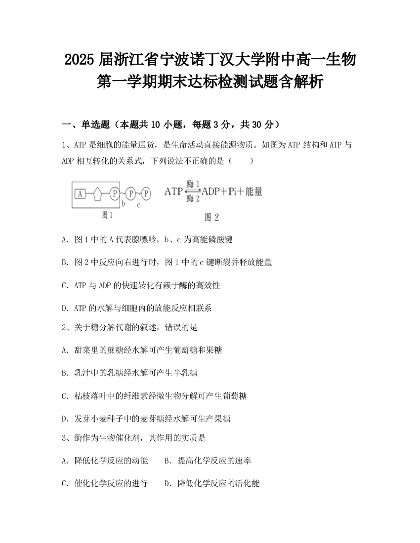 2025届浙江省宁波诺丁汉大学附中高一生物第一学期期末达标检测试题含解析