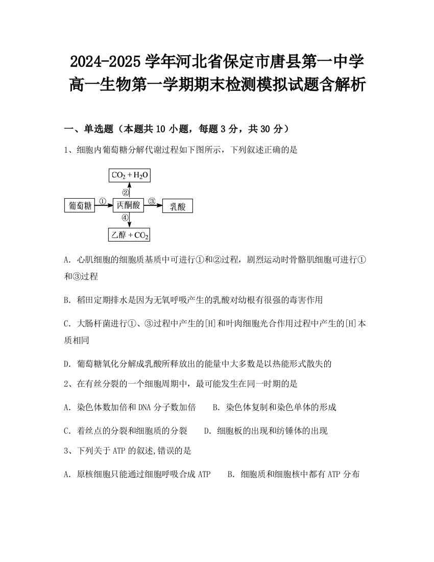 2024-2025学年河北省保定市唐县第一中学高一生物第一学期期末检测模拟试题含解析