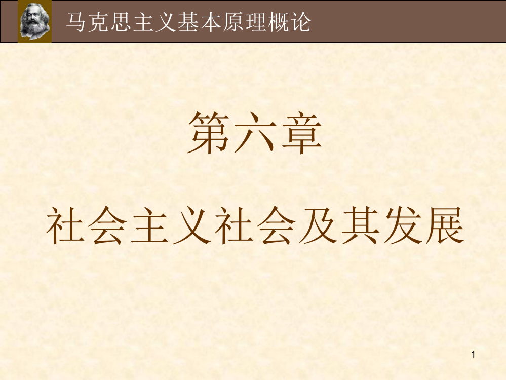 马克思主义基本原理第六章-社会主义社会及其发展-