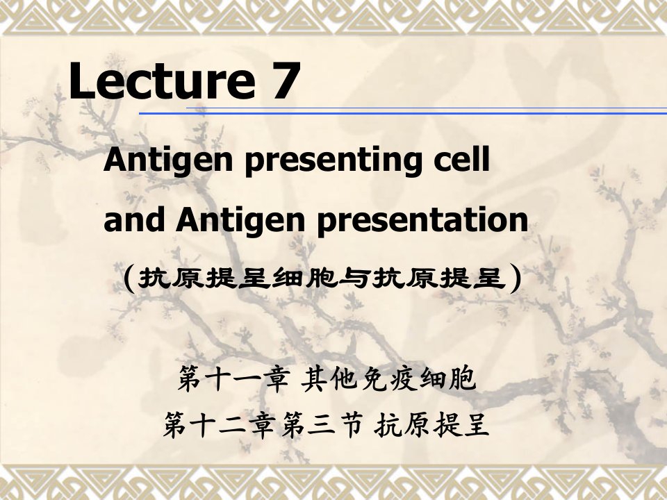 医学免疫学教学课件07apcap