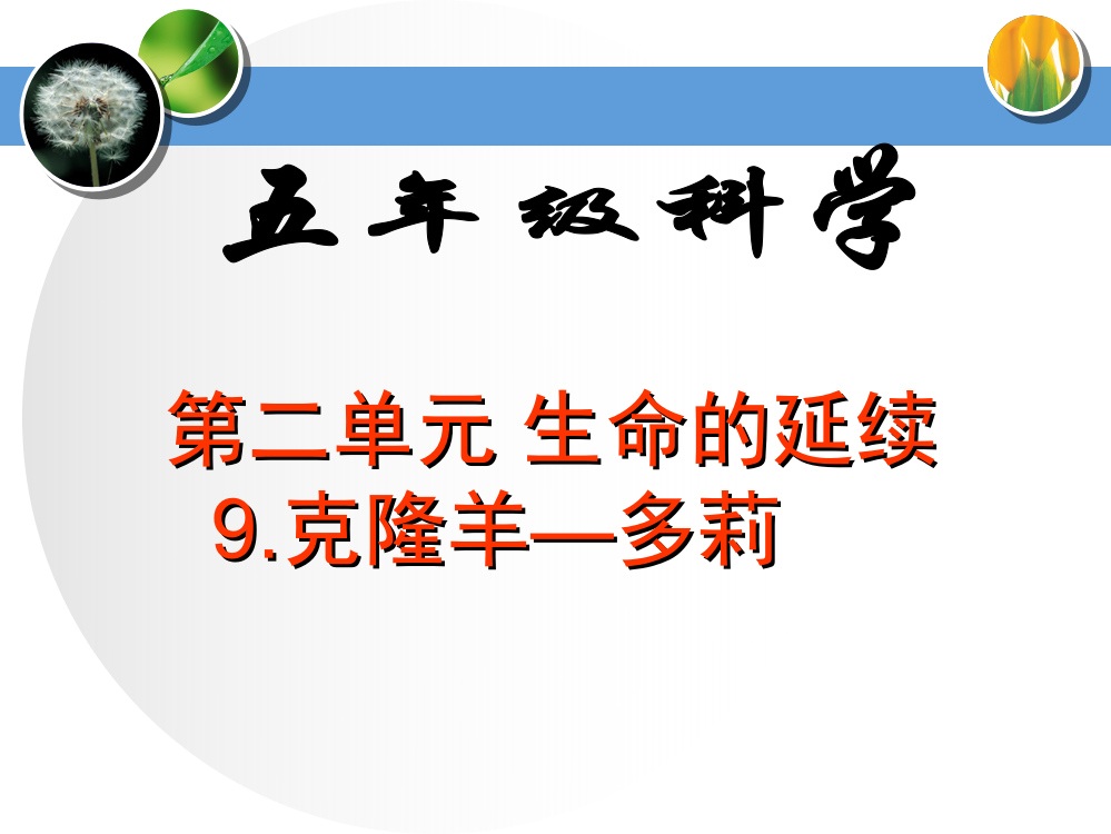 2017年冀教版小学五年级下册科学《克隆羊—多莉PPT课件》教学