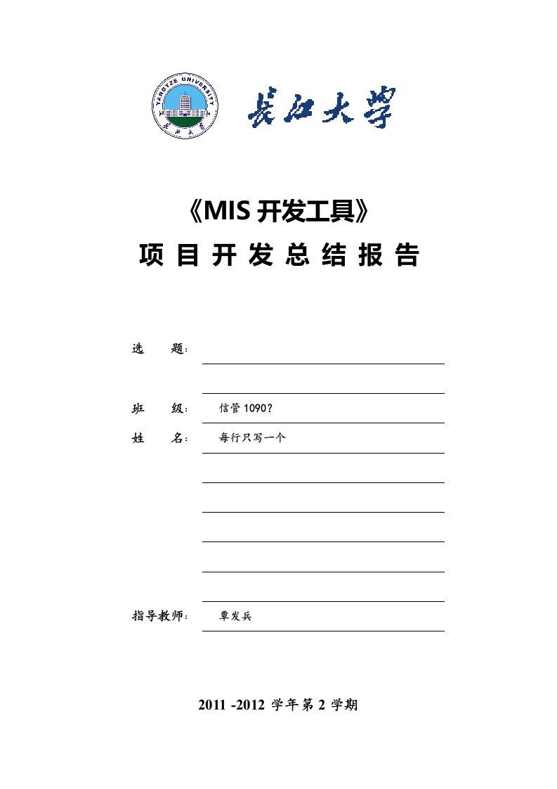 《MIS开发工具》项目开发总结报告