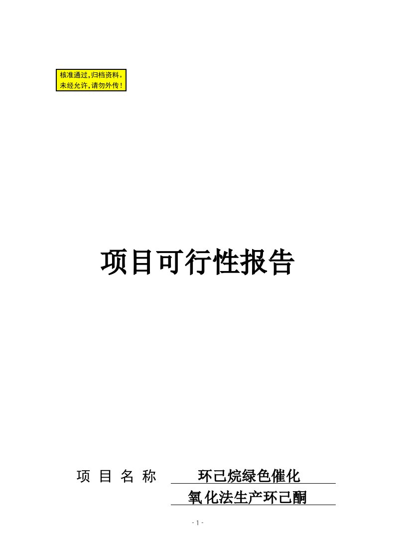 化氧化法生产环己酮项目可行性报告