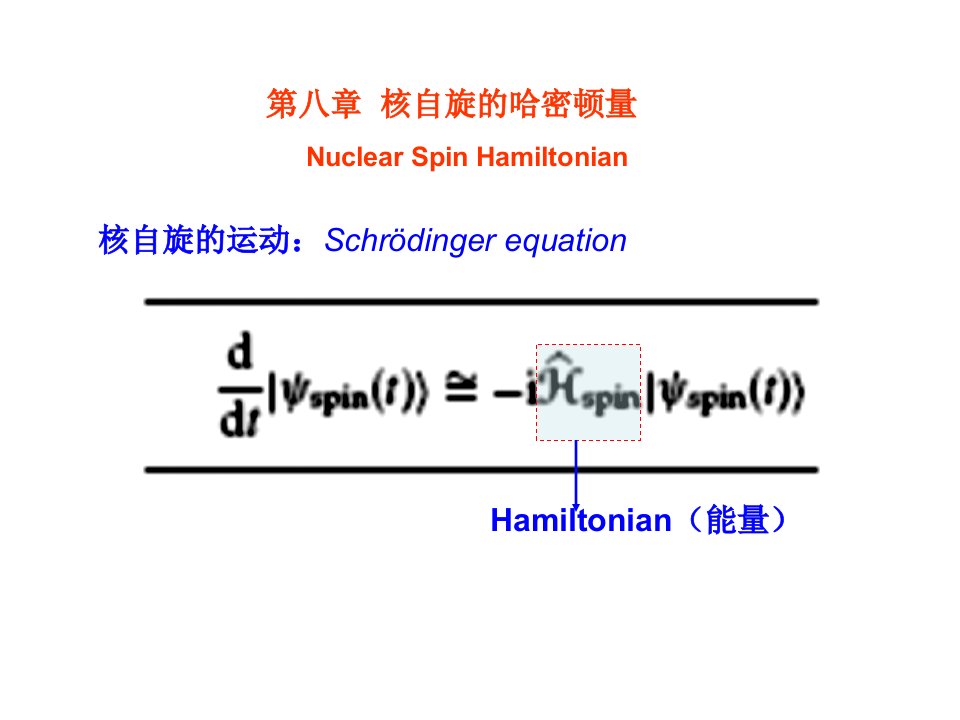 自旋动力学第八章核自旋的哈密顿量