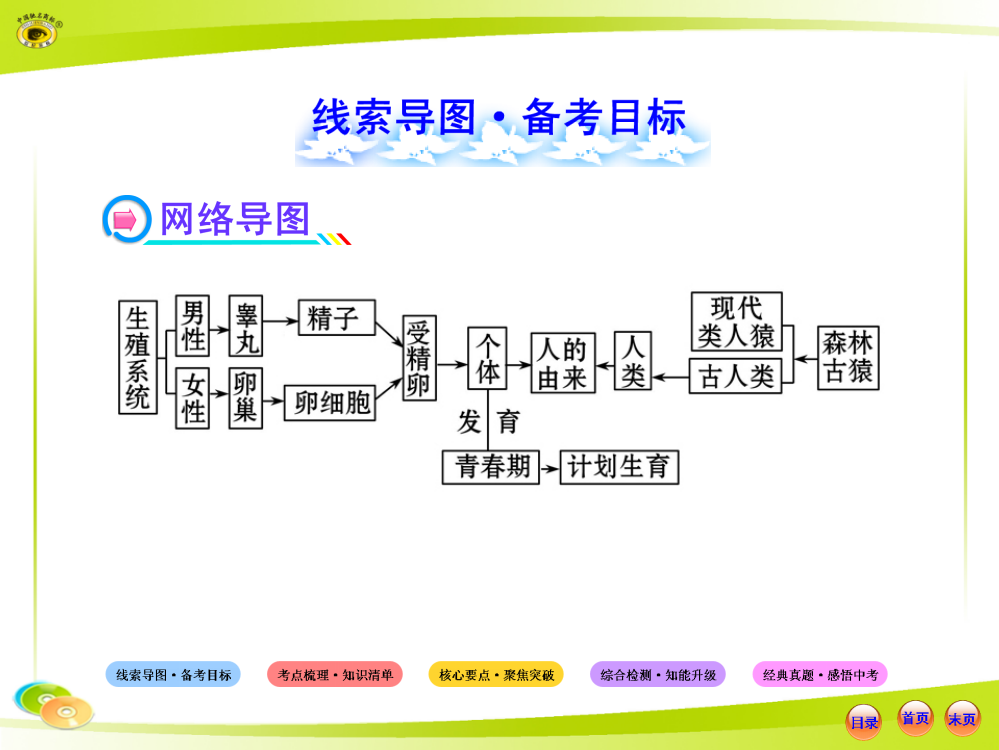 中考复习下-第单元-第章-人的由来PPT课件