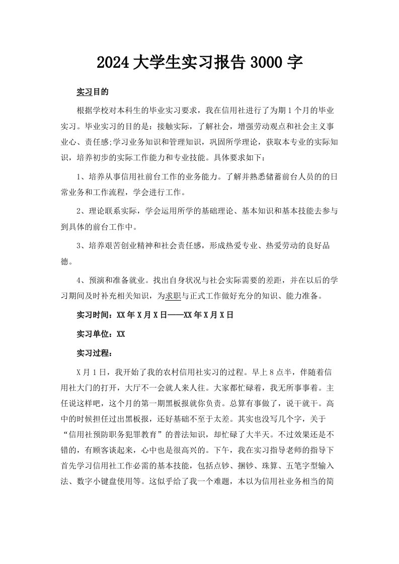 2024大学生实习报告范文3000字