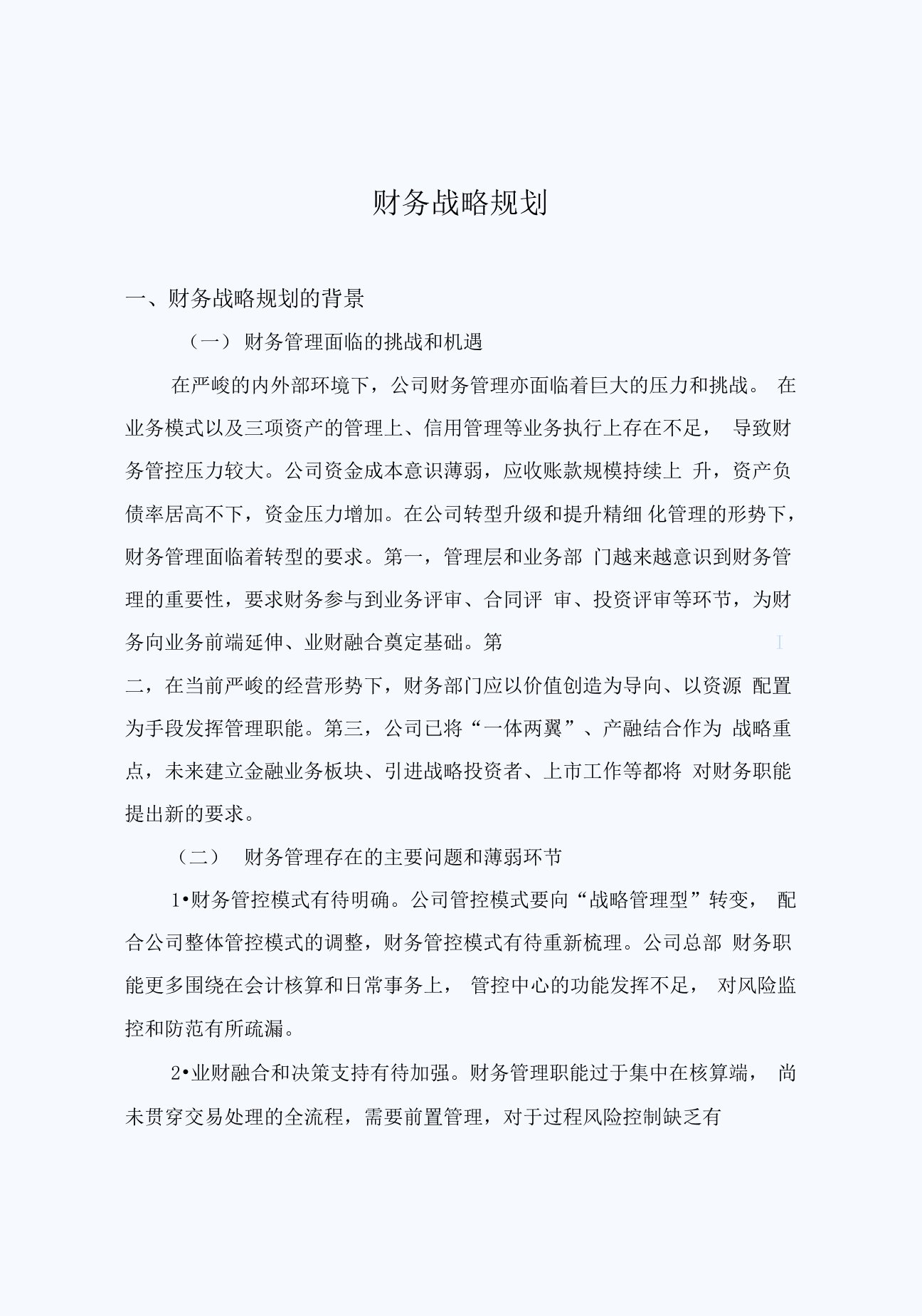 公司财务战略规划