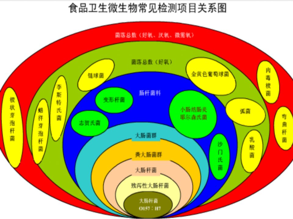 5食物中毒性细菌及其检验