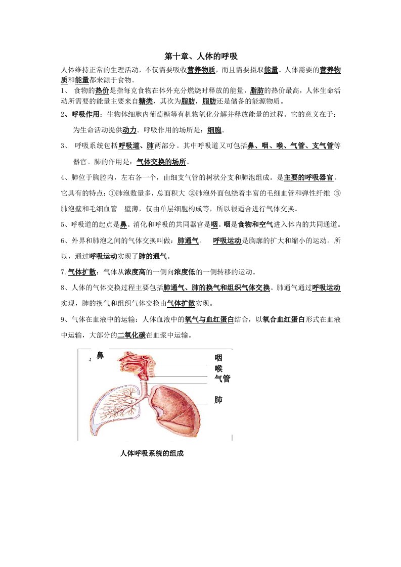 第十章、人体的呼吸知识点