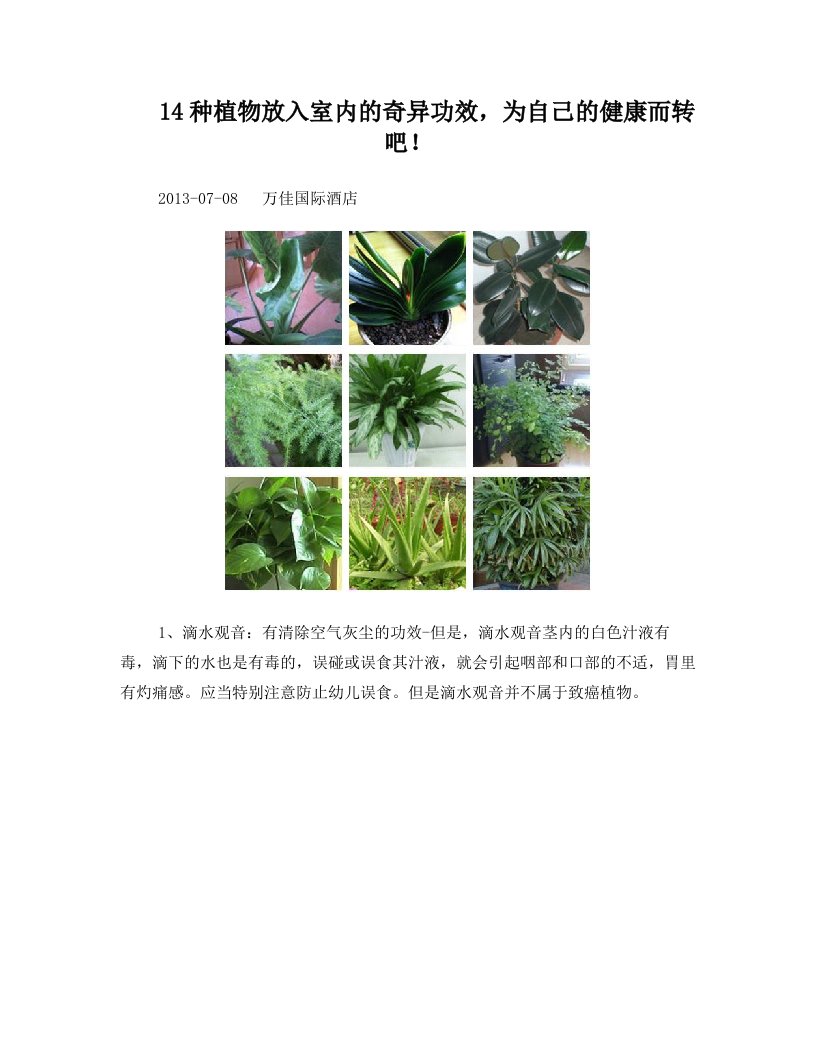 14种植物放入室内的奇异功效