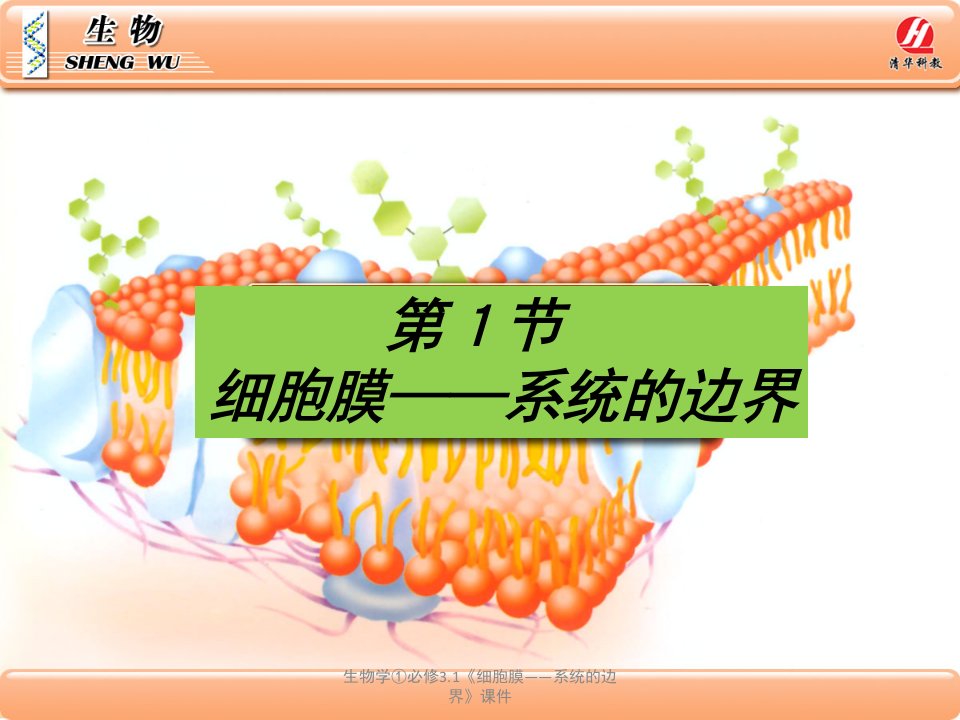 生物学必修3.1细胞膜系统的边界课件