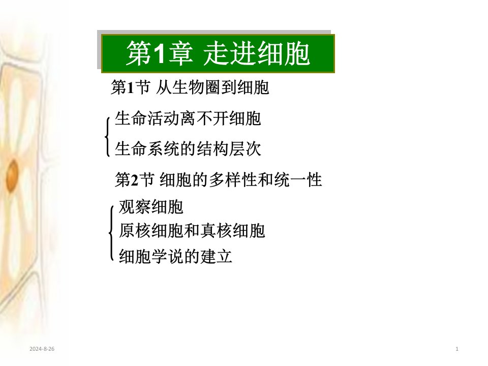 人教版生物必修一第一章《走近细胞》课件(共31张)