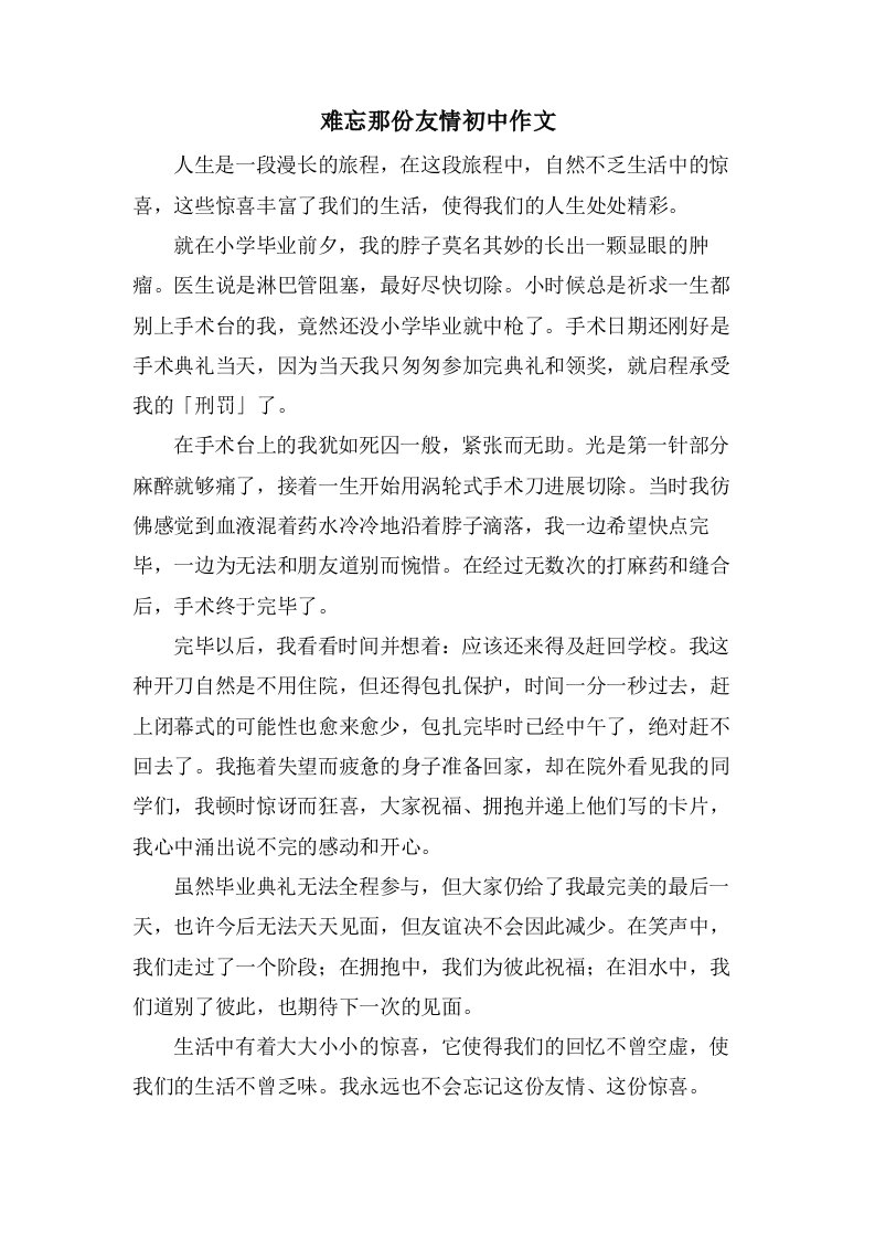 难忘那份友情初中作文