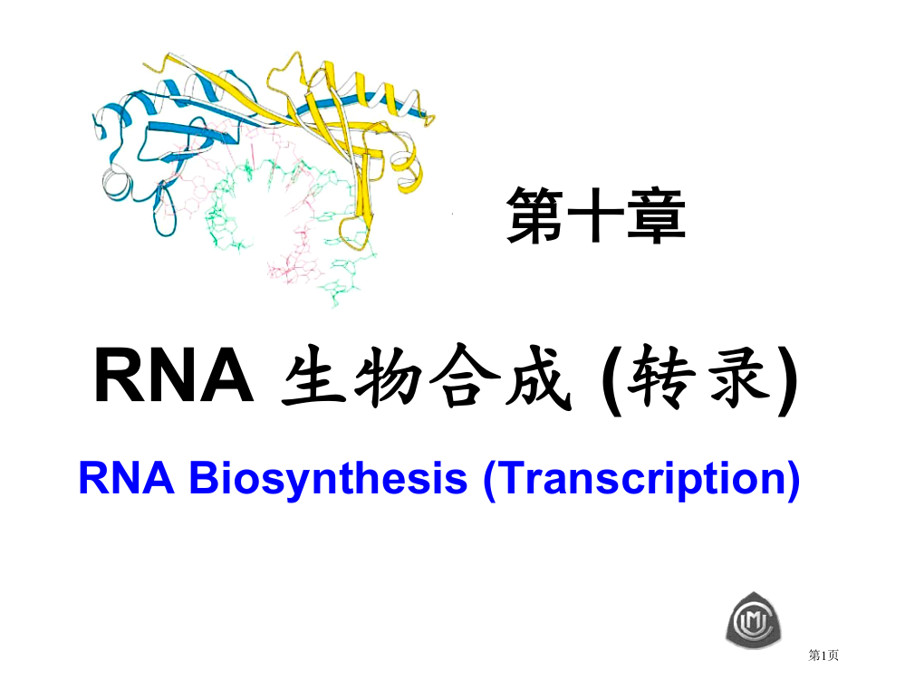 生物化学教案省公共课一等奖全国赛课获奖课件