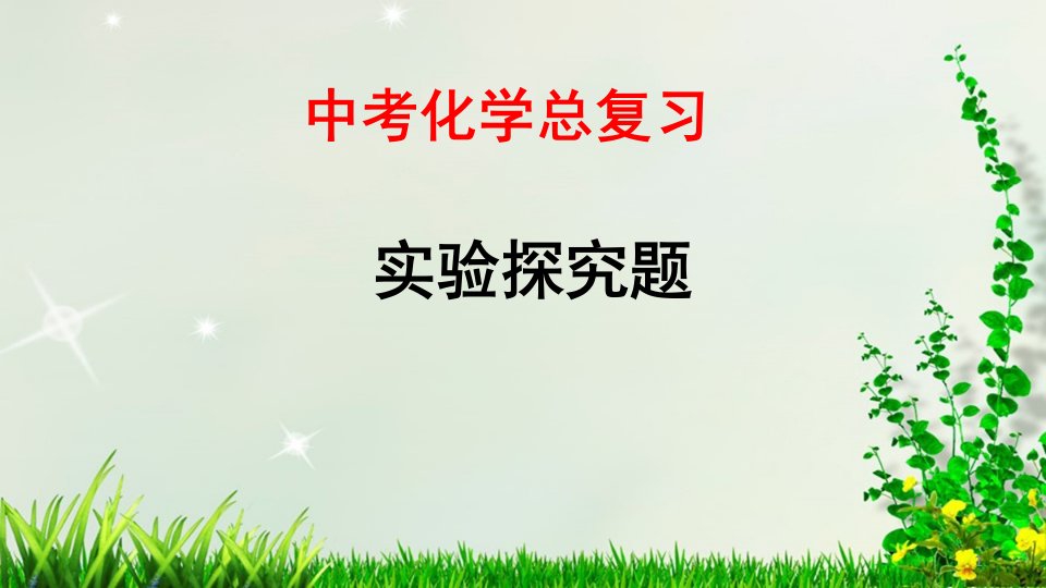 中考化学总复习专题突破——实验探究题课件