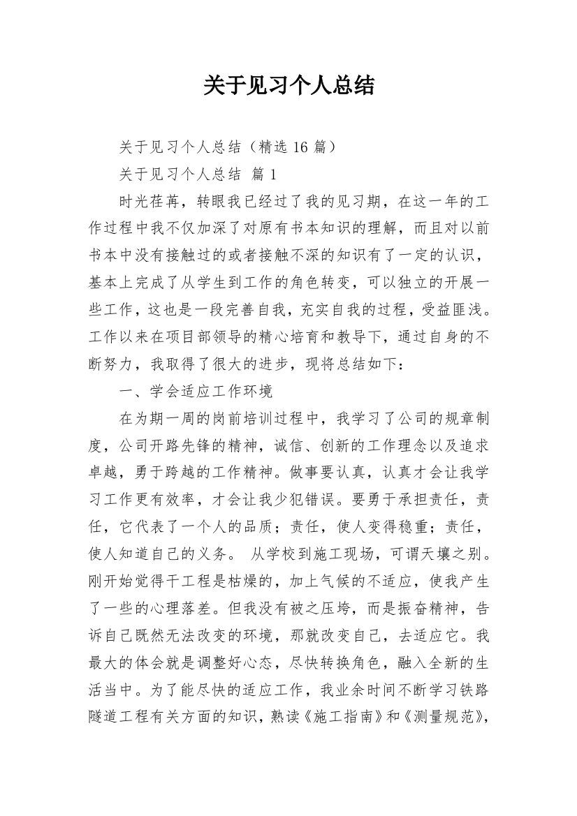 关于见习个人总结