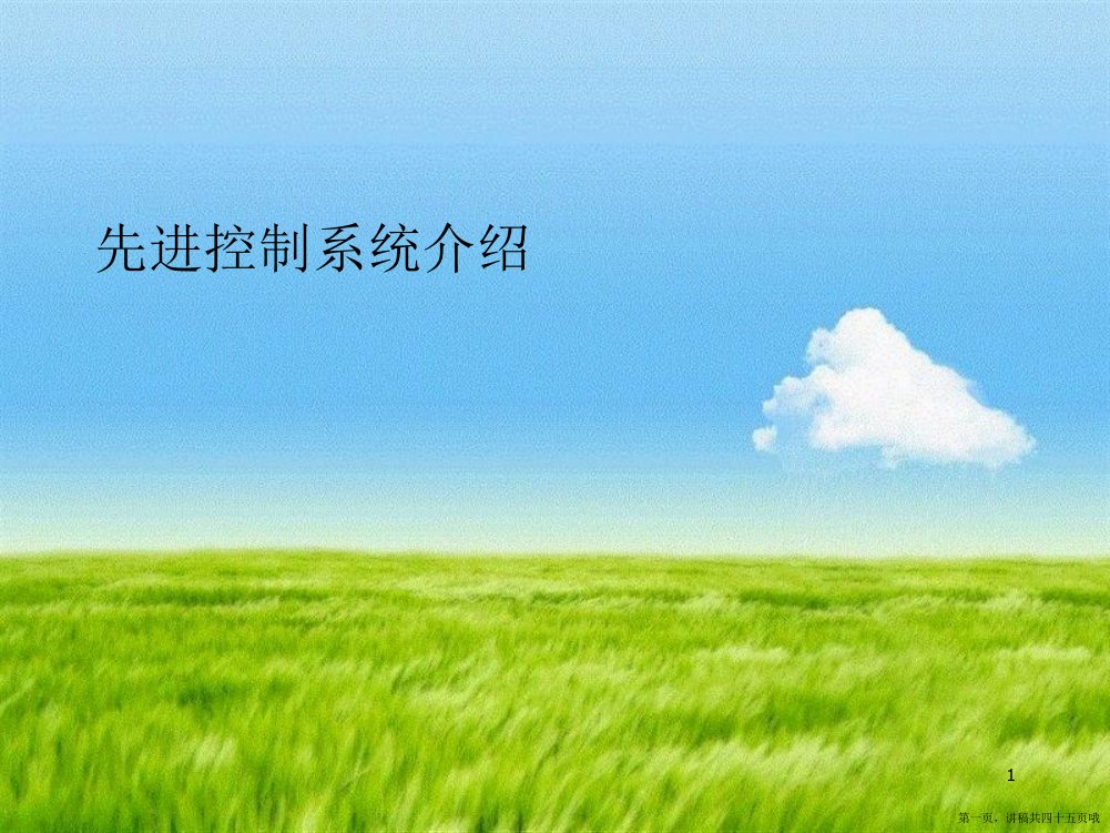 先进控制系统介绍