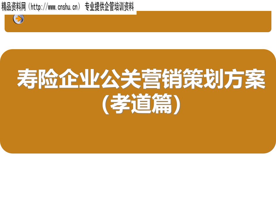 [精选]人寿保险公司公关营销策划提案