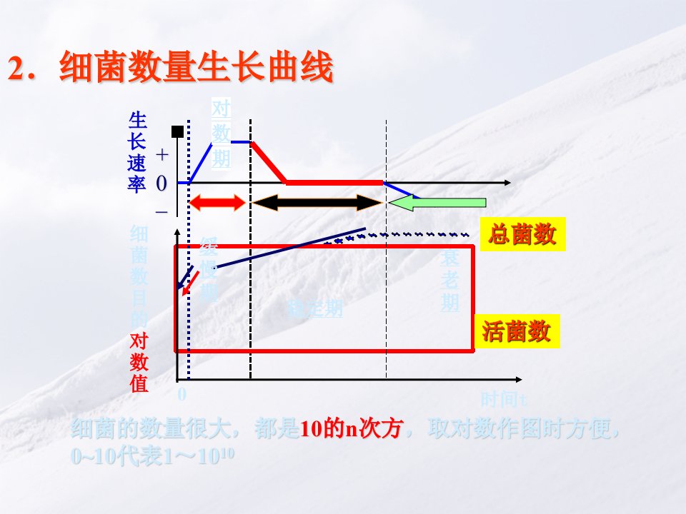 6第六章微生物的生长与控制2生长规律TO学